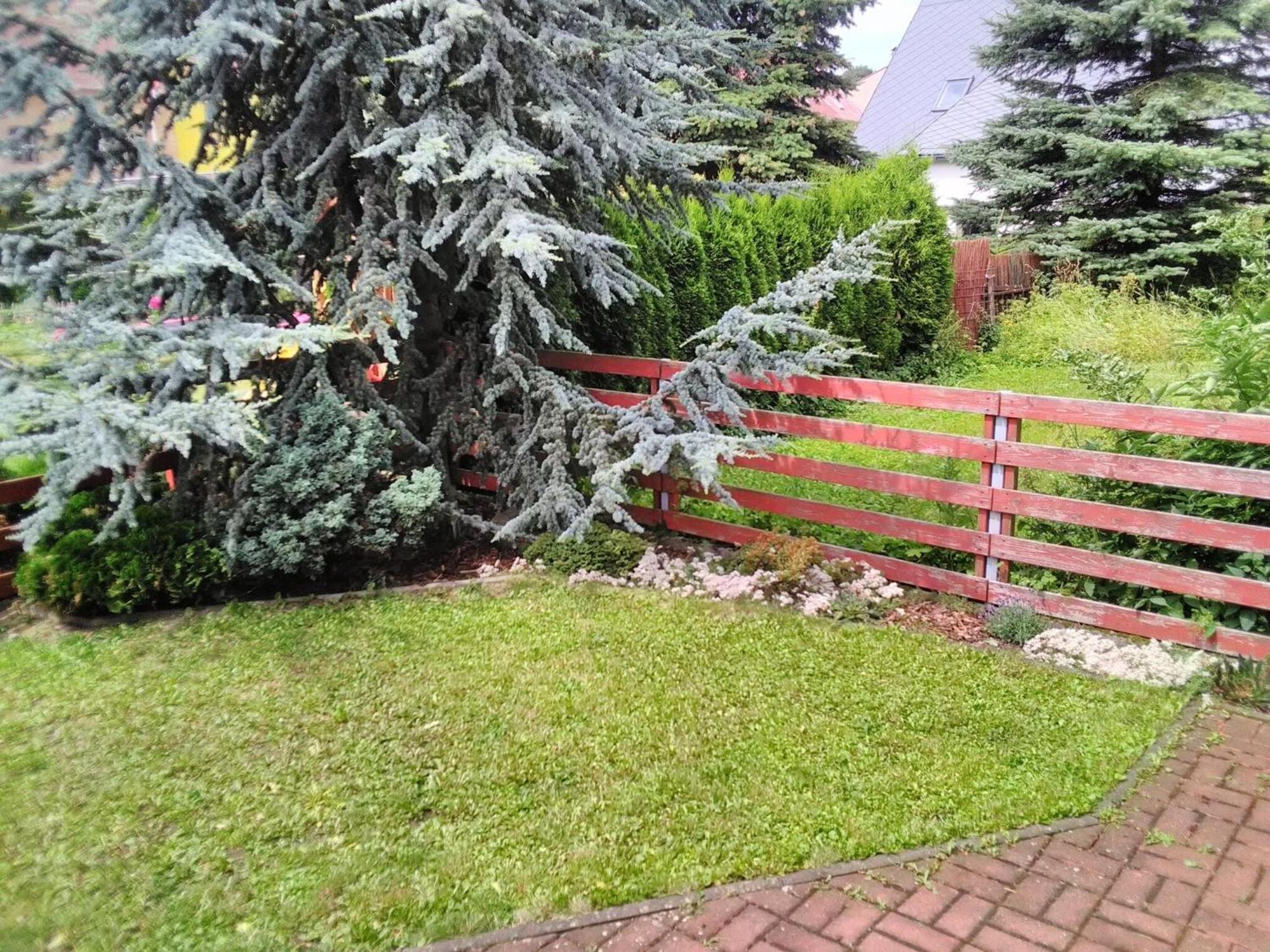 فيلا Mountain House Marie Medenec المظهر الخارجي الصورة